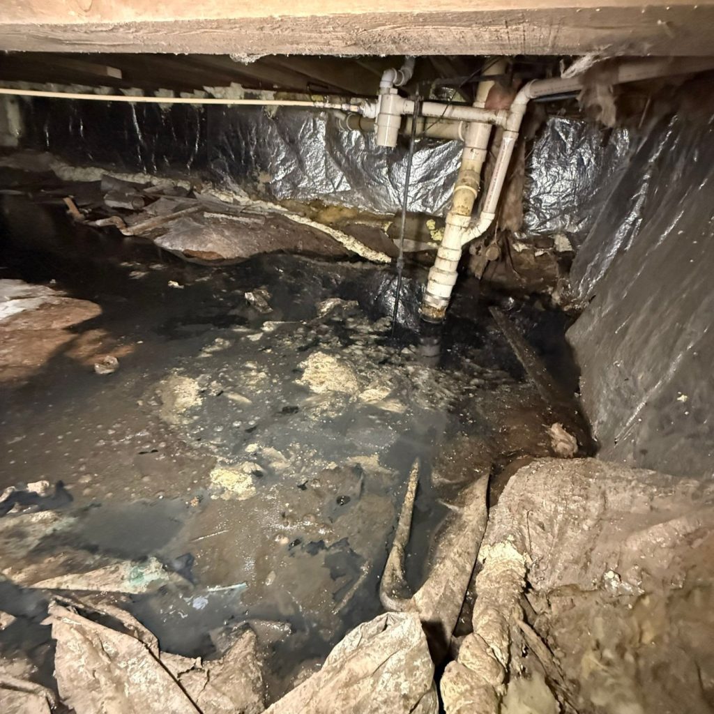 How 1,500 Gallons of Sewage Accumulated in This Superior Crawl Space photo 4