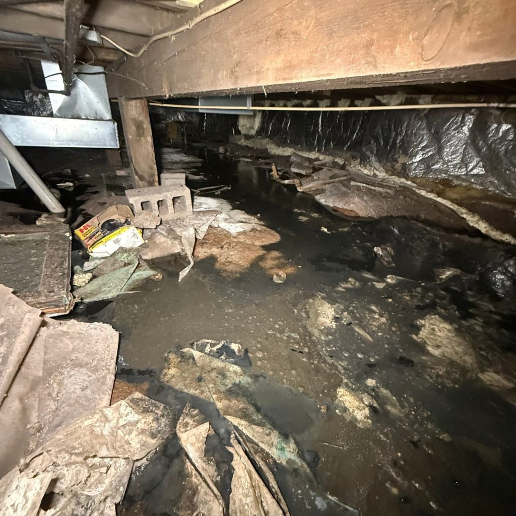 How 1,500 Gallons of Sewage Accumulated in This Superior Crawl Space photo 5